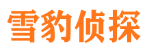 普陀市私家侦探